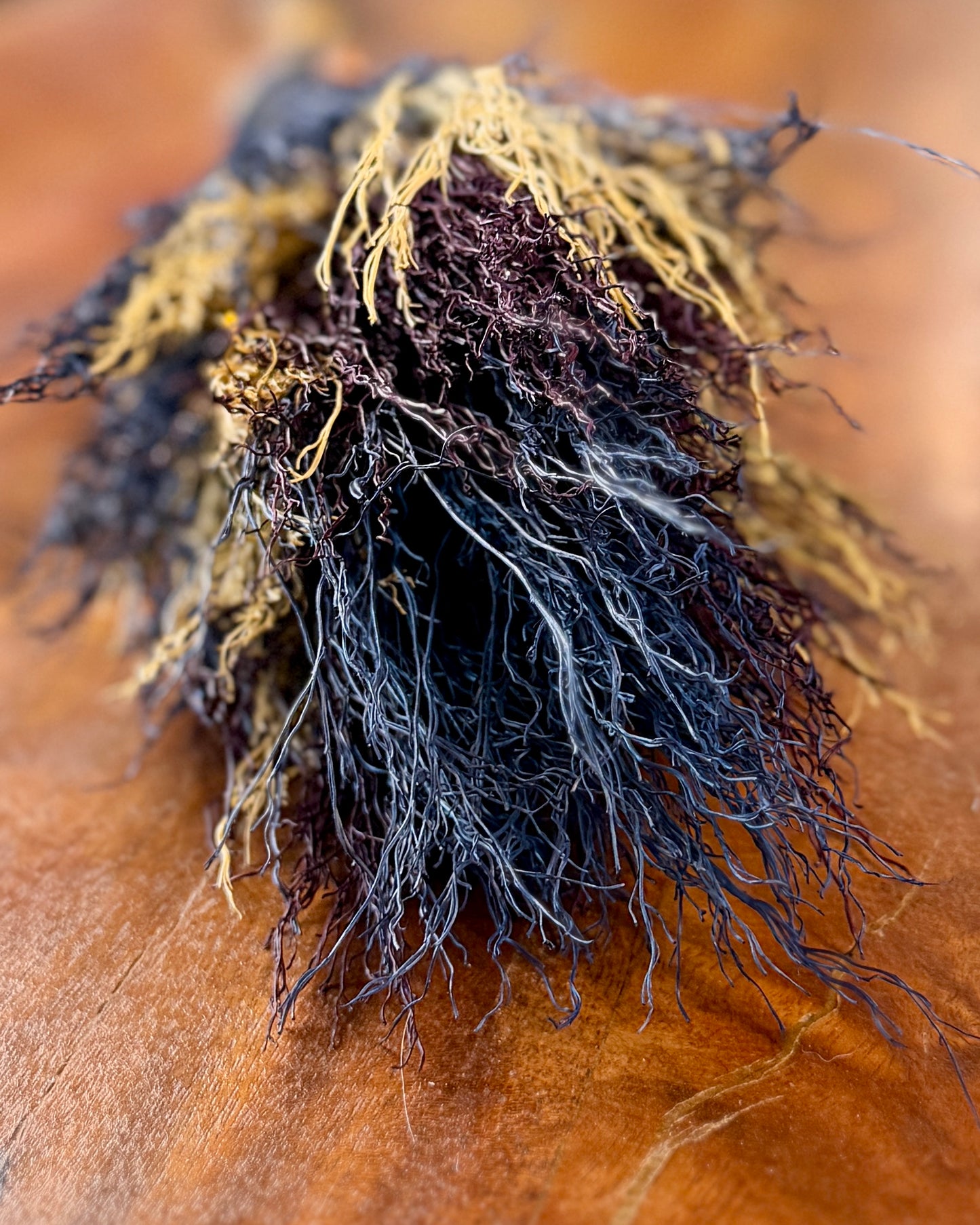 Blue Vigil - Mid-size besom
