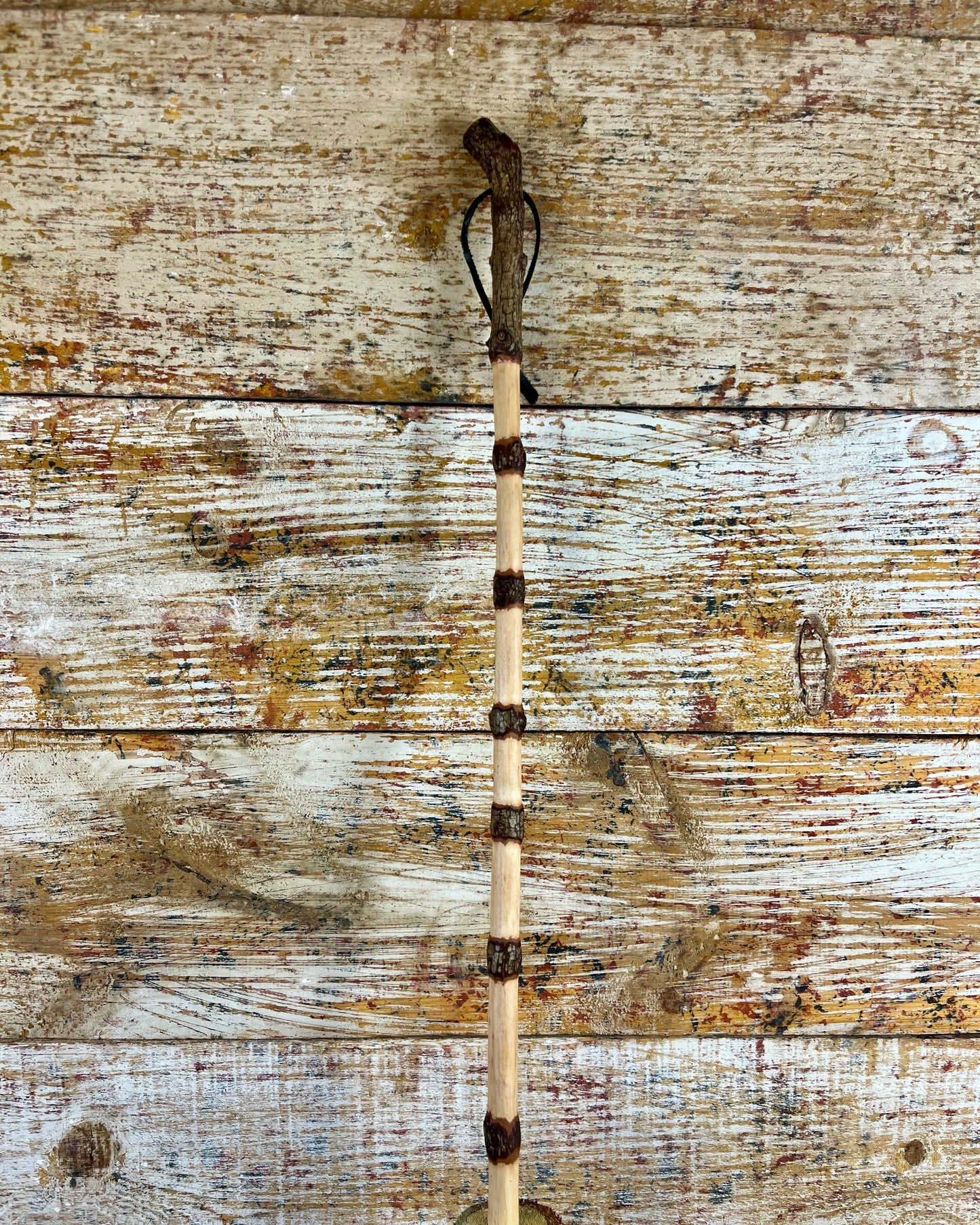 Quiet Sentinel Mid-size Besom